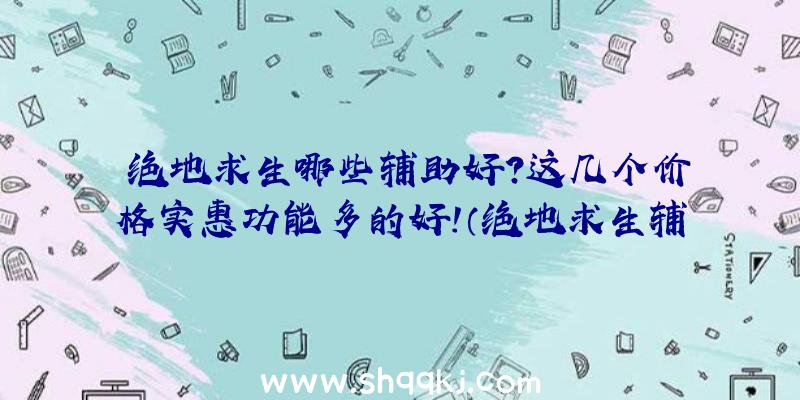 绝地求生哪些辅助好？这几个价格实惠功能多的好！（绝地求生辅助有透视,自瞄,防盗锁芯,火炮追踪这种的作用）